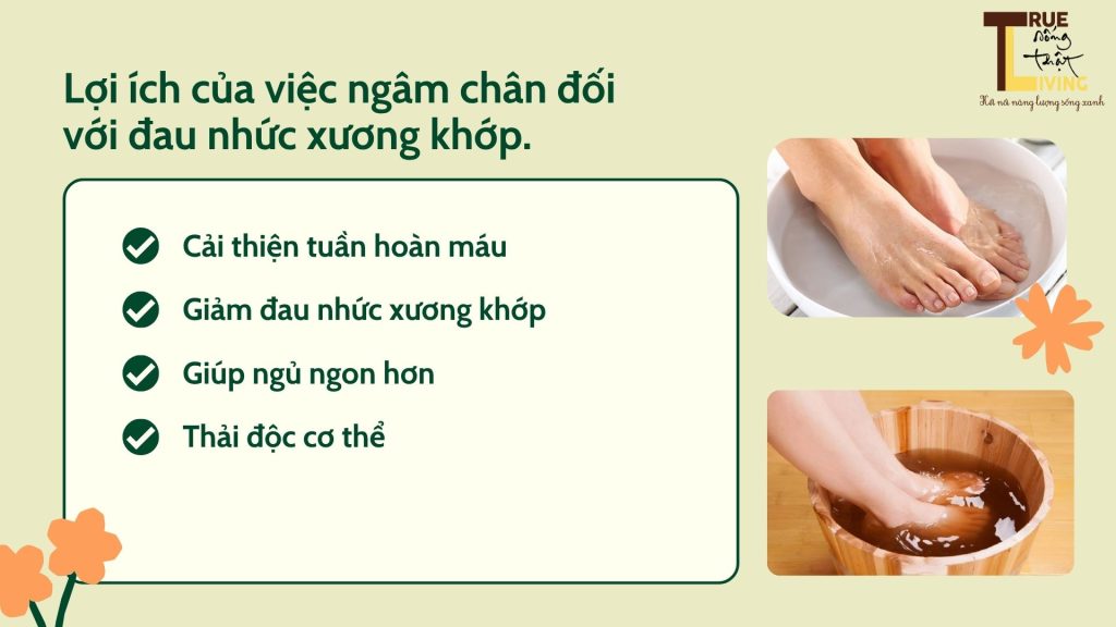 loi-ich-cua-viec-ngam-chan