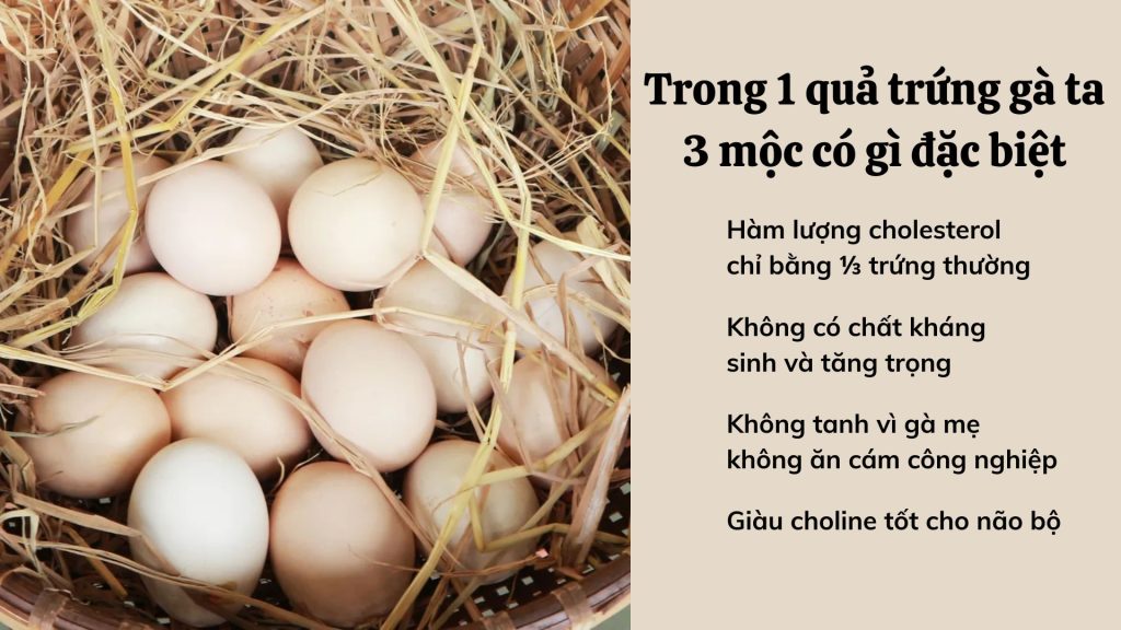 trung-ga-ta-3-moc-co-gi-dac-biet