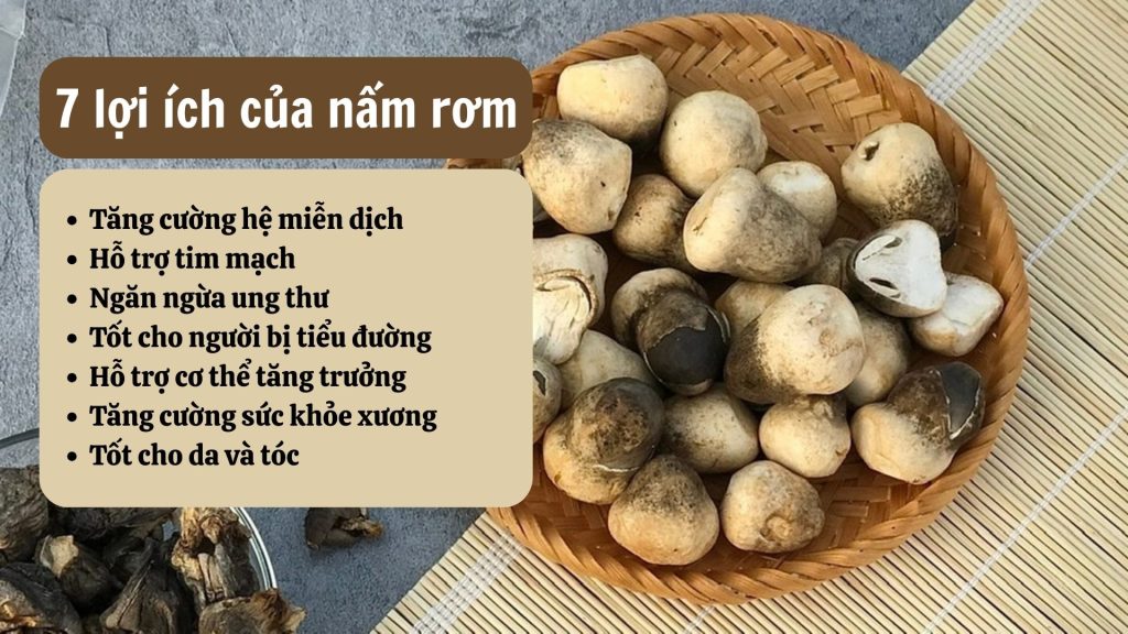 lo-ich-cua-nam-rom