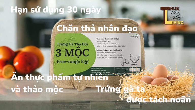 trung-ga-3-moc