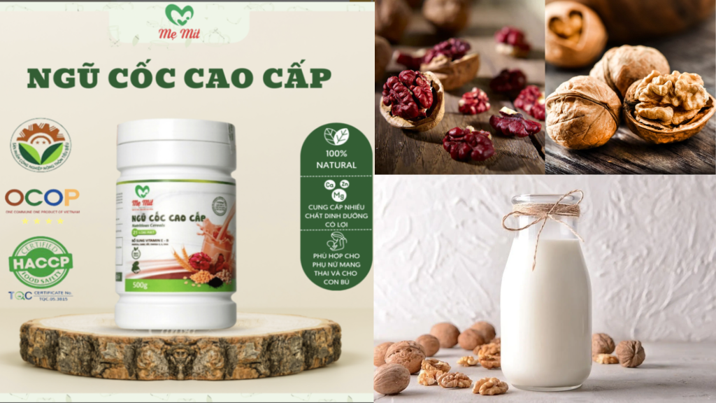 ngu-coc-cao-cap-me-mit