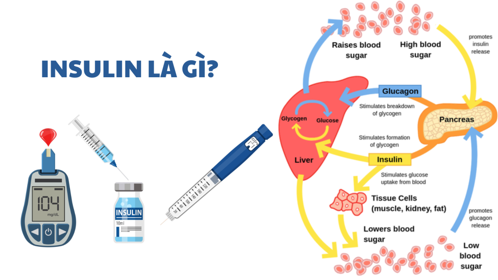 insulin-la-gi