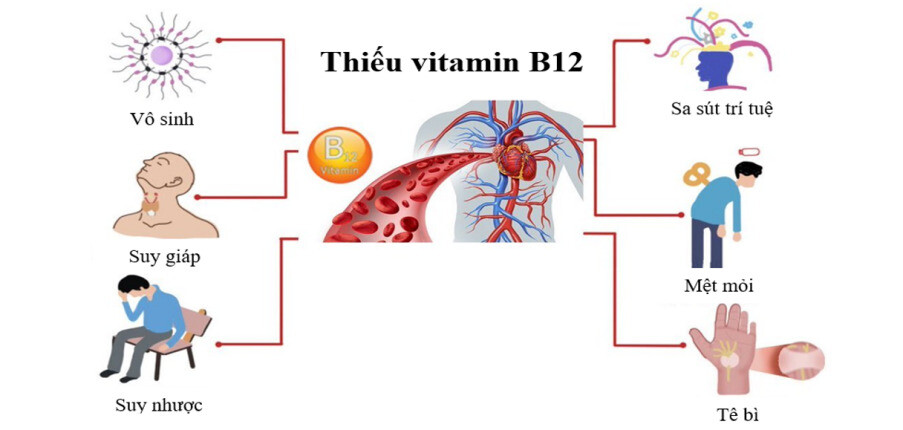 MHRA: METFORMIN VÀ NGUY CƠ THIẾU HỤT VITAMIN B12 - Bệnh viện Tân Bình