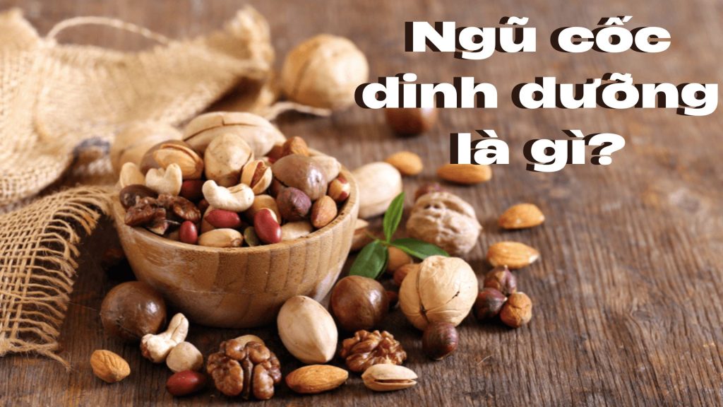ngu-coc-dinh-duong-la-gi