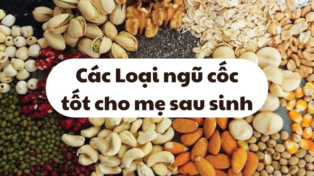 cac-loai-ngu-coc-tot-cho-me-sau-sinh