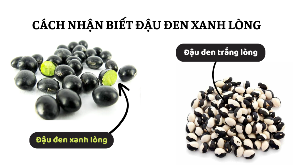 dau-den-1